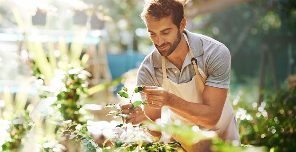 Man wearing apron tending to plants