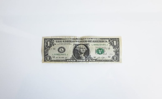 One US dollar bill