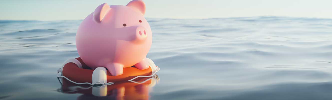 Piggy Bank On Lifebuoy