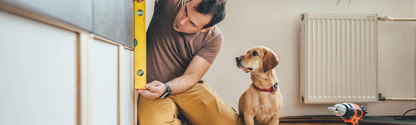 Man measuring the wall while his curious beagle mix dog watches. 