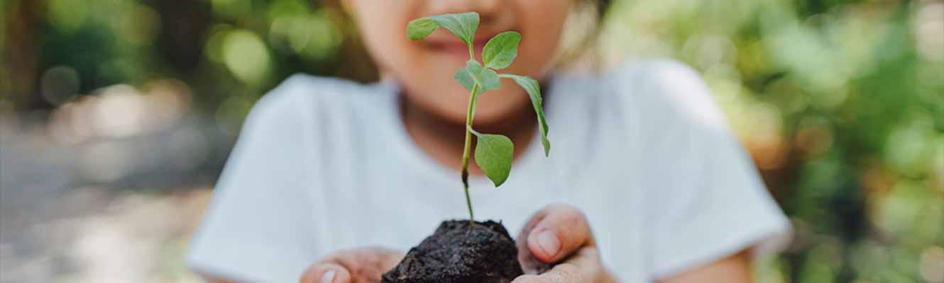 small child holding a plant with it's roots in her hand