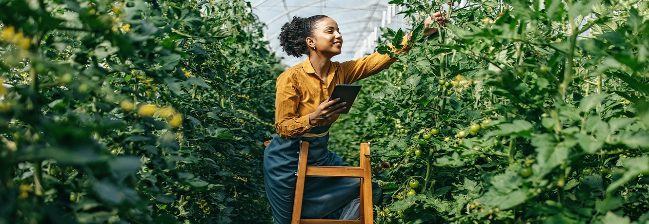 One latin woman working in the greenhouse.