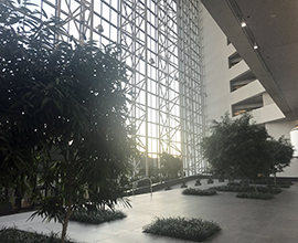 Atrium with glass windows and trees