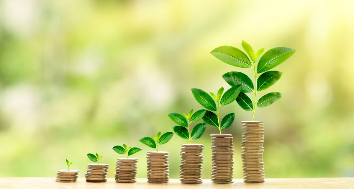 image of stacks of coins growing from left to wright. Green plant is growing on each stack.