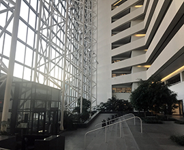 Atrium with glass windows and trees